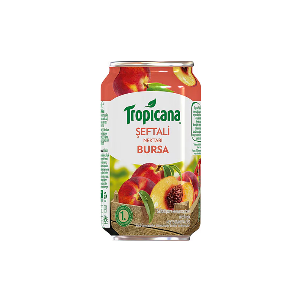 Meyve Suyu (Şeftali, Karışık, Vişne)